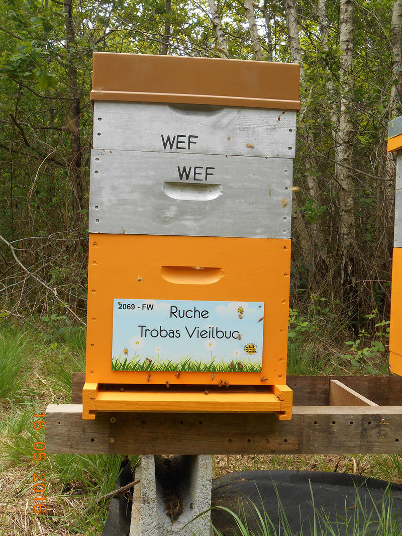 La ruche Trobas Vieilbuc